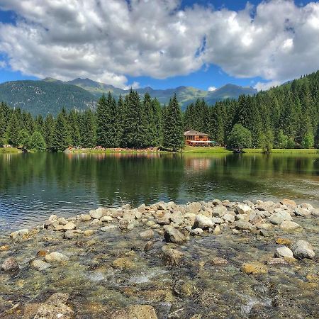Casa Matteotti Mezzana Trentino Lägenhet Exteriör bild