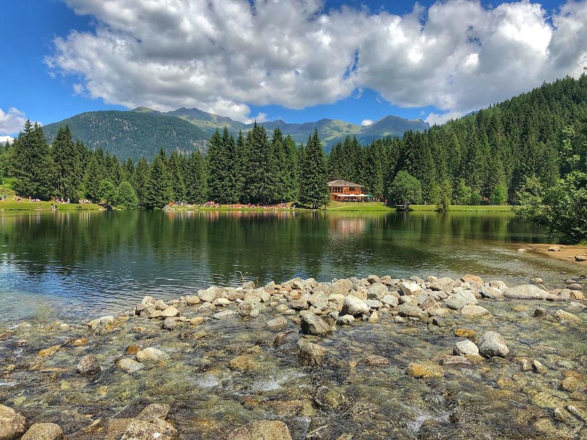 Casa Matteotti Mezzana Trentino Lägenhet Exteriör bild